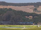 Elkhorn Slough 022